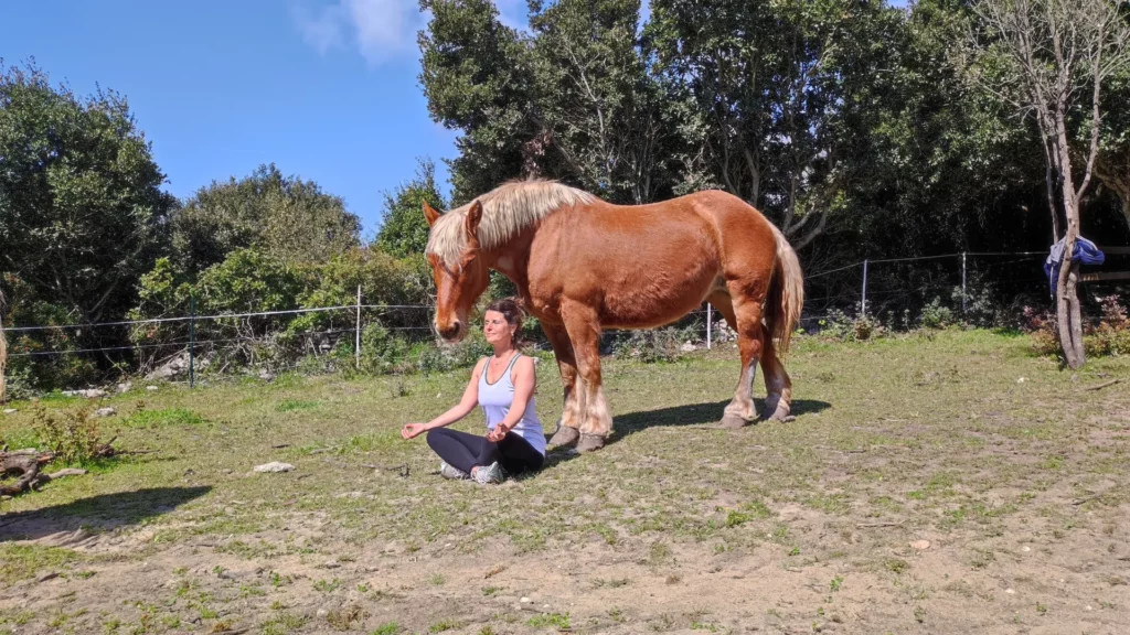 Ayurvéda et yoga 