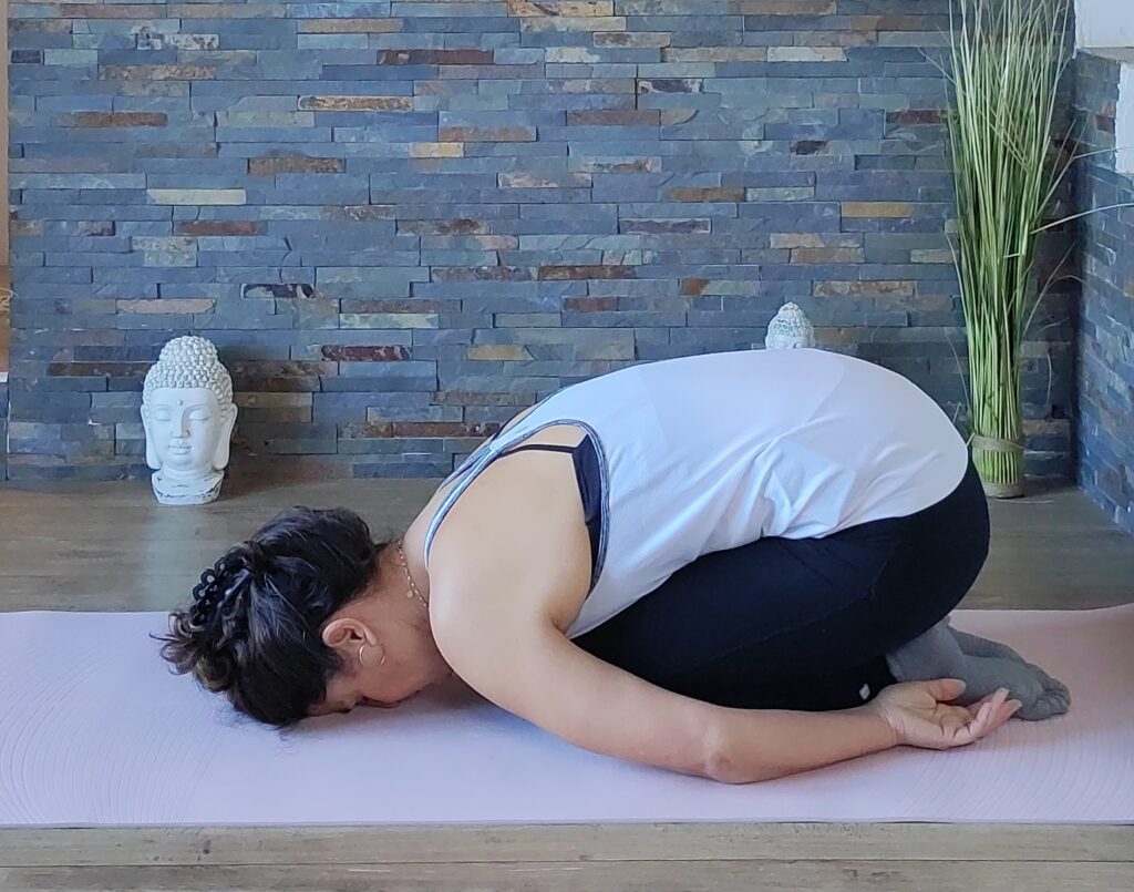 cavalier automne vata